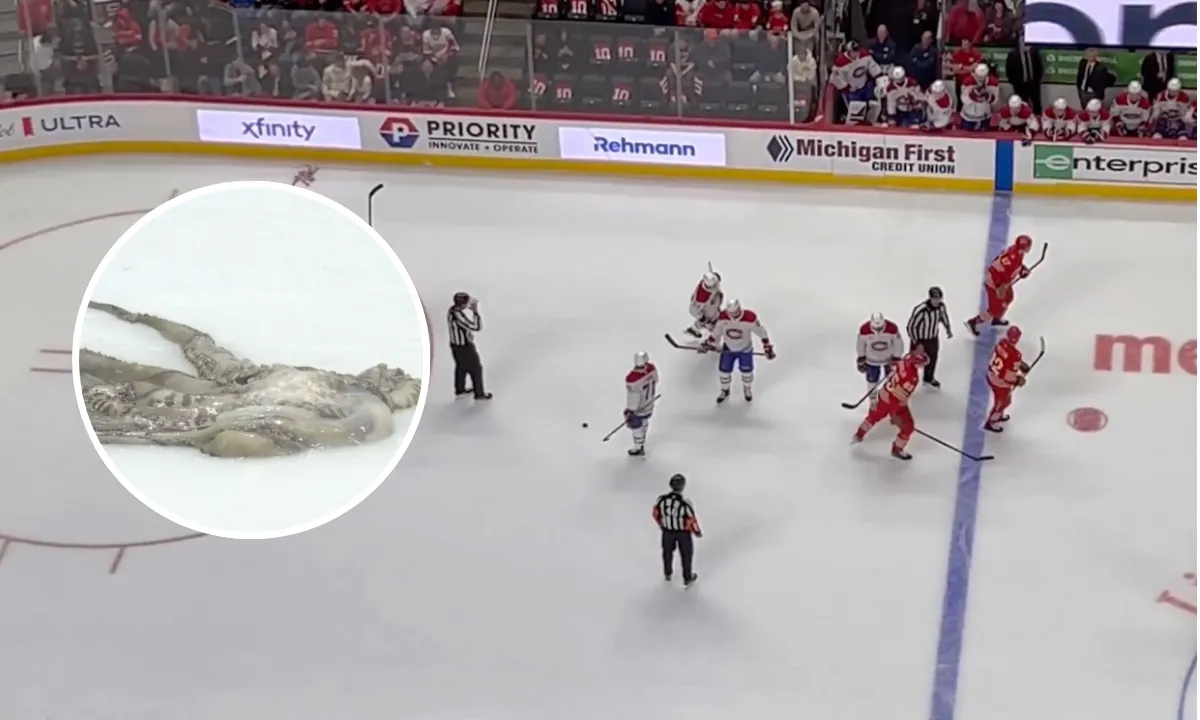 Red Wings Fans Allegedly Ejected for Throwing Objects on the Ice vs. Canadiens