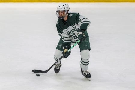 Detroit Red Wings newest signing