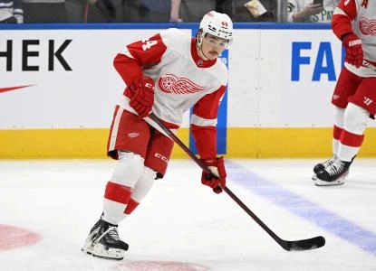 Donovan Sebrango Red Wings
