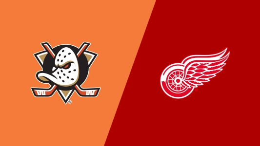 Anaheim Ducks Detroit Red Wings logo
