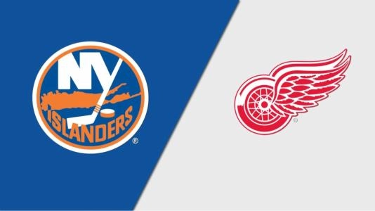 Detroit Red Wings New York Islanders team logo trade Detroit Red Wings New York Islanders team logo trade