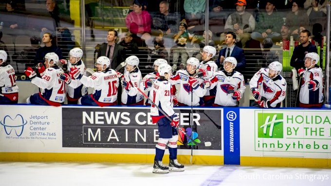 Who Are The Washington Capitals' ECHL Affiliate: South Carolina Stingrays