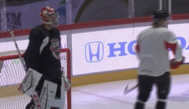 A New Season Means New In-Game Experiences for Comets Fans | News