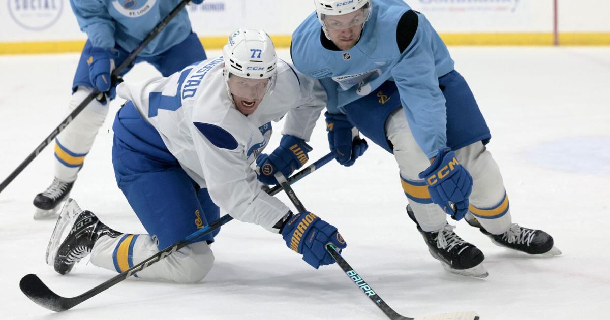 Did recent contracts to young defensemen impact the market for Philip Broberg?