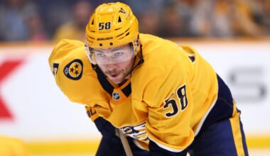 Predators hoping 'junkyard dogs' line will bring bite | Hockey