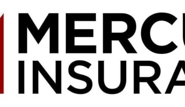 Mercury Insurance and Anaheim Ducks Launch Hall of Heroes to Honor Orange County's Everyday Champions |