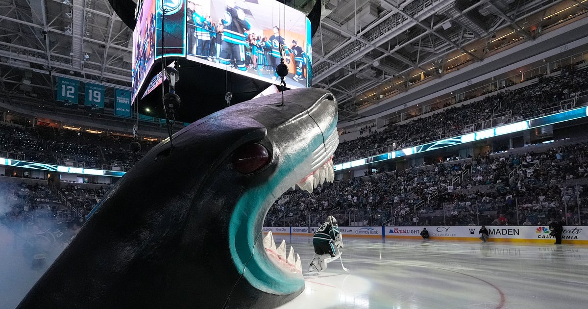 NHL Team Apologizes For Offensive Pro-ICE Scoreboard Message On Hispanic Night