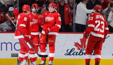 Edvinsson scores two goals as Red Wings erase four-goal deficit, beat Blues 6-4 | National Sports
