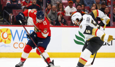 Panthers vs. Ducks Prediction & Picks - Oct. 28