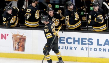 Pastrnak and Lindholm star as the Bruins rally past the Islanders 5-2 | Sports