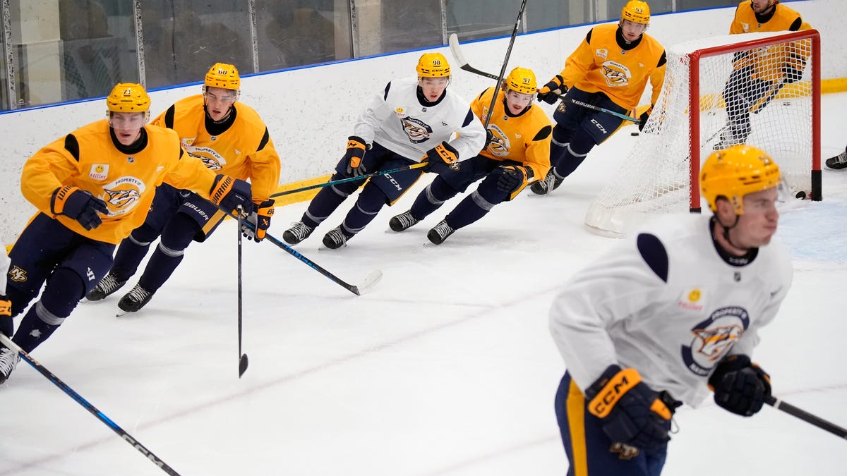 Predators seek to fund Centennial Sportsplex upgrades in lease