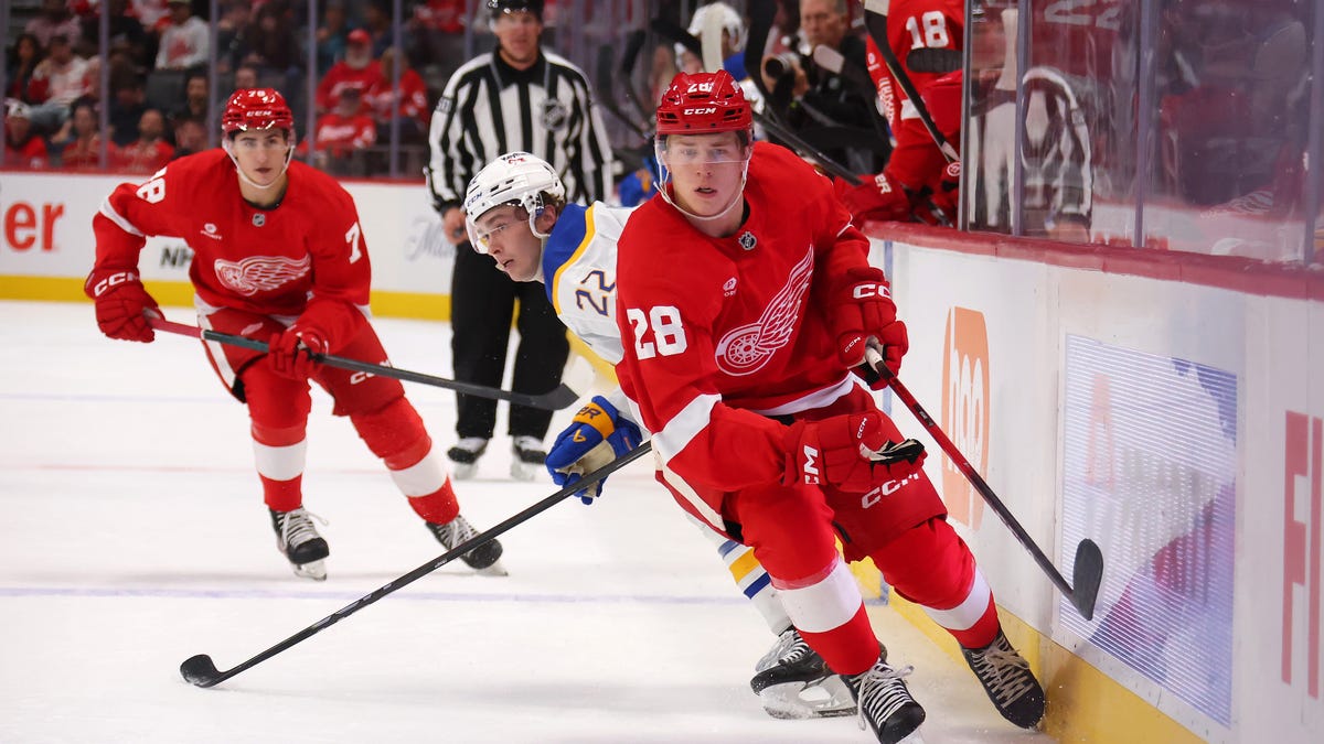 Detroit Red Wings prospects close preseason big in 6-5 (OT) win