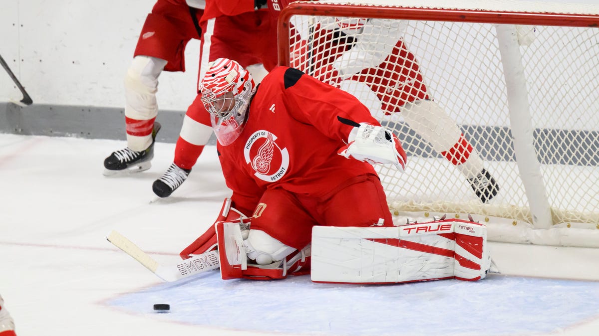 Will the Detroit Red Wings make the playoffs?