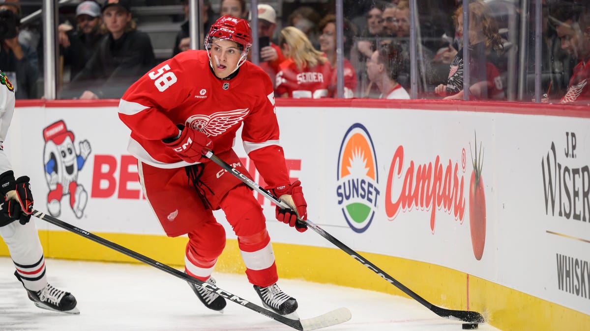 Here is the Detroit Red Wings opening-night roster