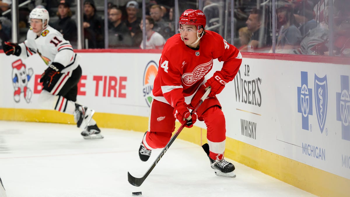 Red Wings waive Holl and Gustafsson, clearing way for three rookies to make team