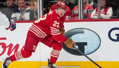 Red Wings hopeful he will be back soon