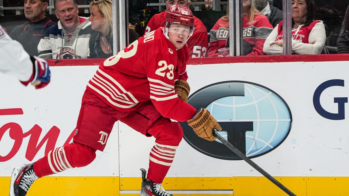 Red Wings hopeful he will be back soon