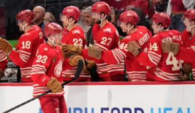 Crisis averted as Lucas Raymond is back on the ice