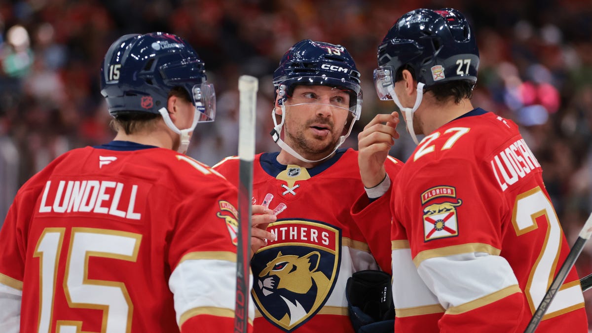 Panthers at Red Wings odds, picks and predictions