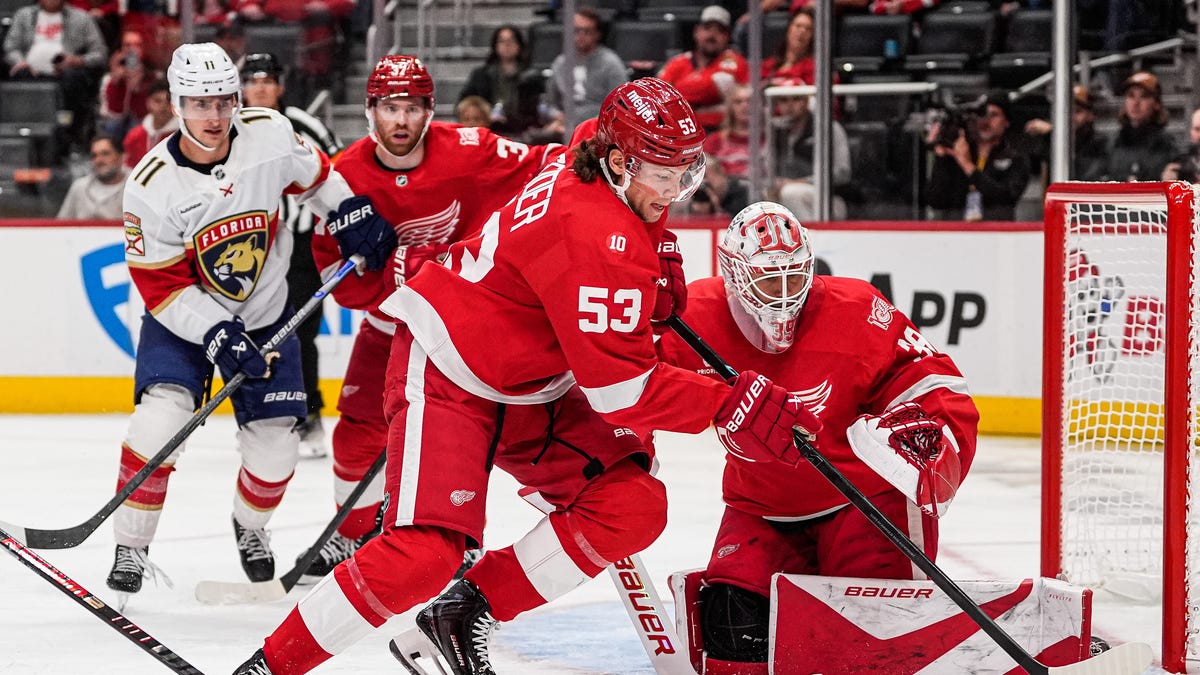 Detroit Red Wings win third straight, beat Florida Panthers, 4-1