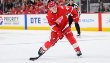 Sandin-Pellikka, other young players quickly earning trust of McLellan