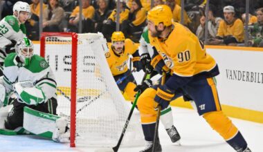 Missed penalty 'should have been called' in Predators loss to Stars