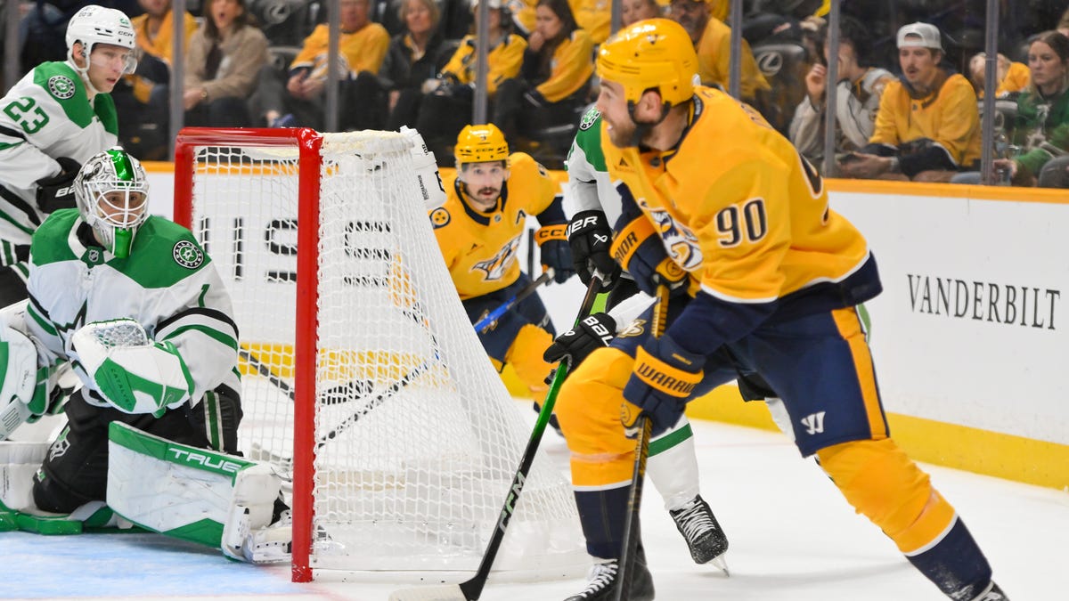 Missed penalty 'should have been called' in Predators loss to Stars