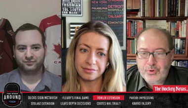 Canadiens: Fowler Near Top Of Best Affiliated Goaltenders