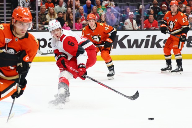 Carolina Hurricanes defenseman Mike Reilly (6) fights for the puck...