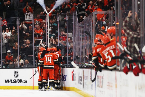 Ducks players celebrate with teammate Leo Carlsson (91) after he...