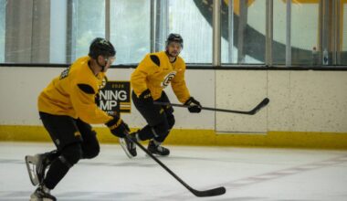 boston-bruins-matej-blumel