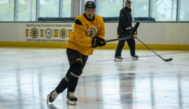 boston-bruins-fabian-lysell