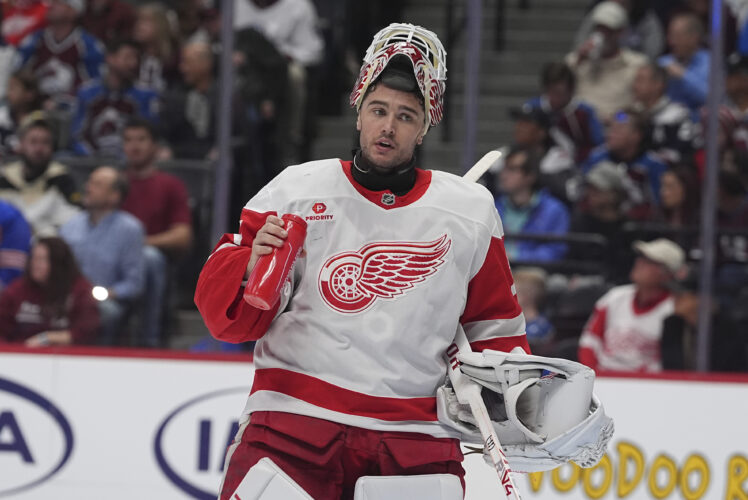 Sabres’ path to postseason will depend on improved goalie play | News, Sports, Jobs