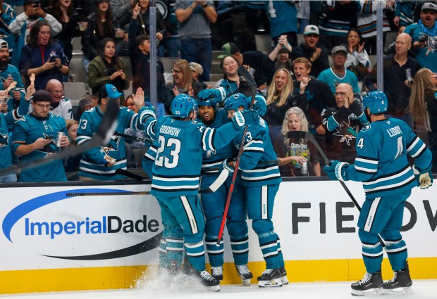 The San Jose Sharks celebrate San Jose Sharks' Ryan Reaves (75) scoring a goal against the Anaheim Ducks in the first period at the SAP Center in San Jose, Calif., on Saturday, Oct. 11, 2025. (Shae Hammond/Bay Area News Group)