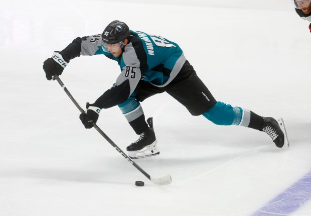 San Jose Sharks' Shakir Mukhamadullin (85) controls the puck against...