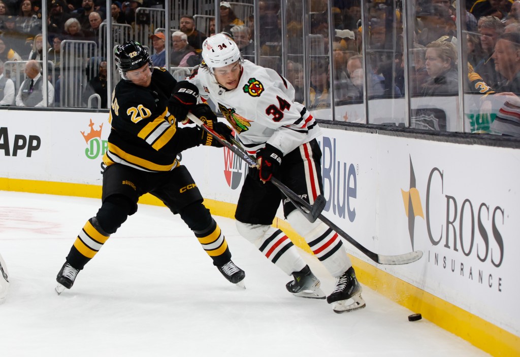 Colton Dach-Connor Bedard line shows promise