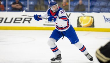 Who made 2026 NHL Central Scouting's preliminary watch list?