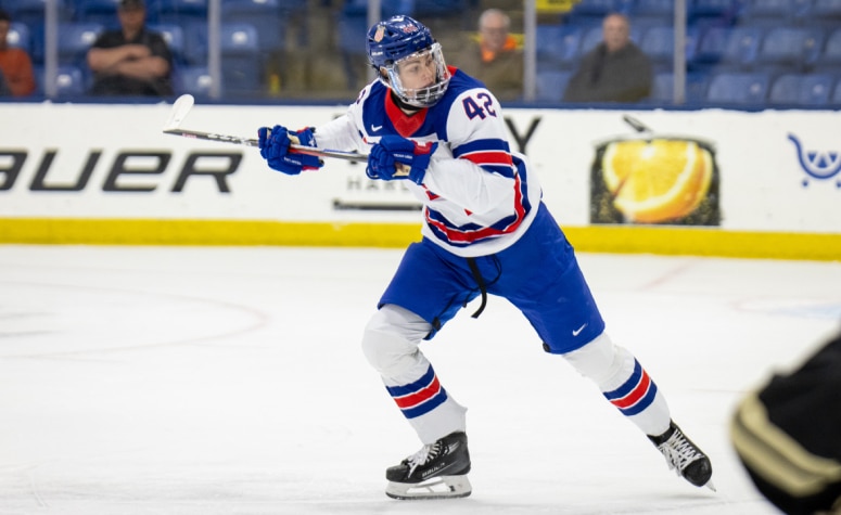 Who made 2026 NHL Central Scouting's preliminary watch list?