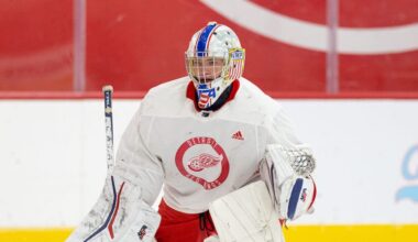 Trey Augustine, Red Wings prospect