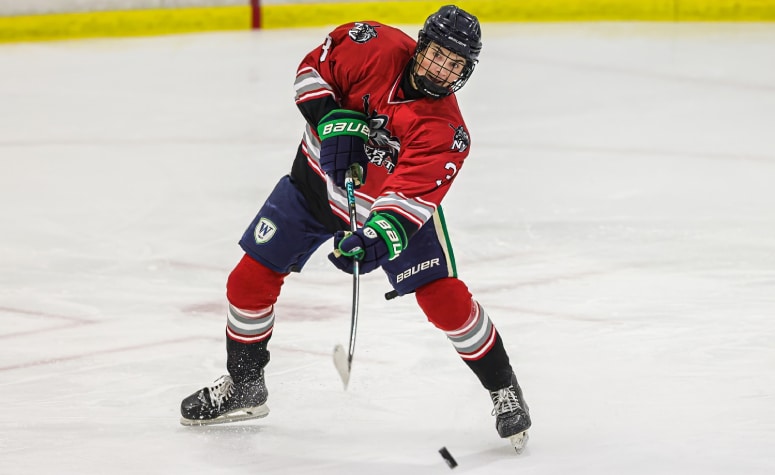 8 takeaways from college hockey recruiting over the last month