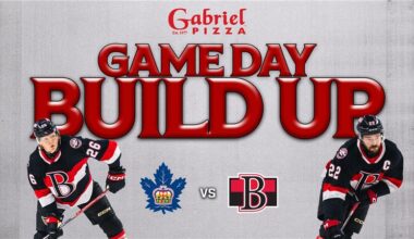 Back in the Bay of Quinte, Senators host Marlies in home opener tonight – Belleville Sens