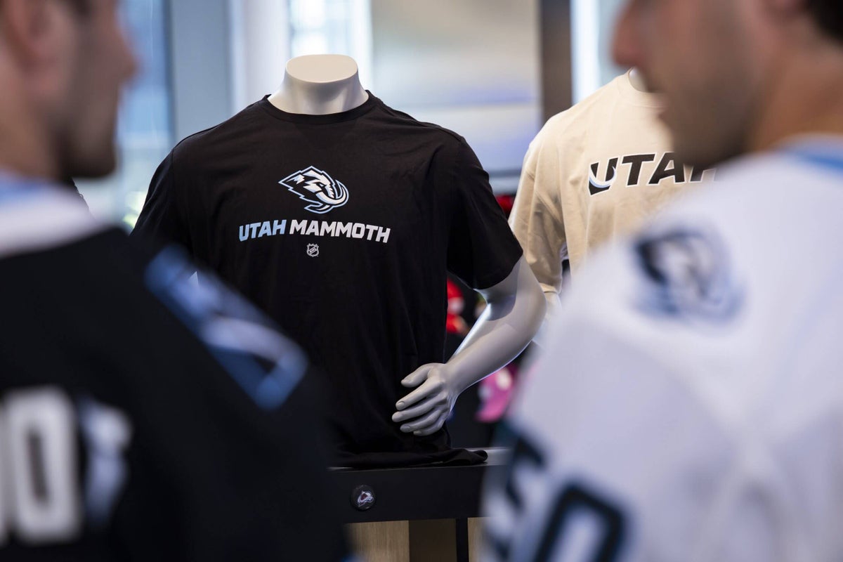 Mammoth v. Mammoth: Unpacking the NHL team’s legal dispute with a hockey bag company