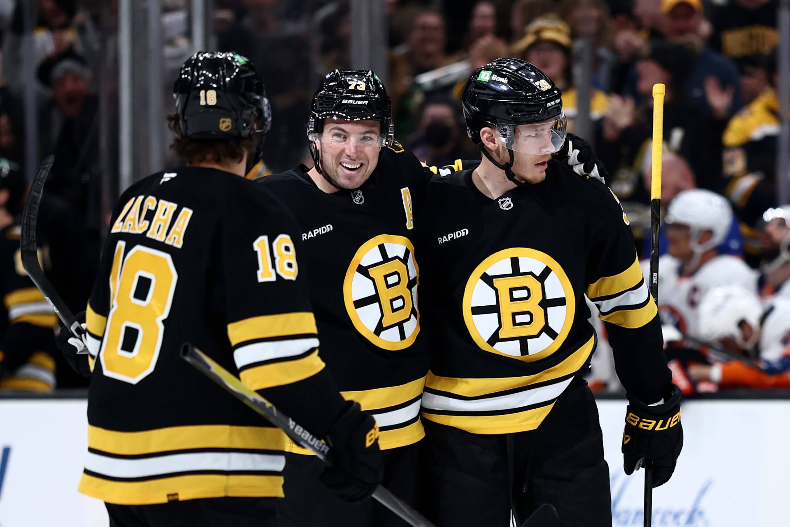 Charlie McAvoy celebrates a Bruins goal with Morgan Geekie and Pavel Zacha.