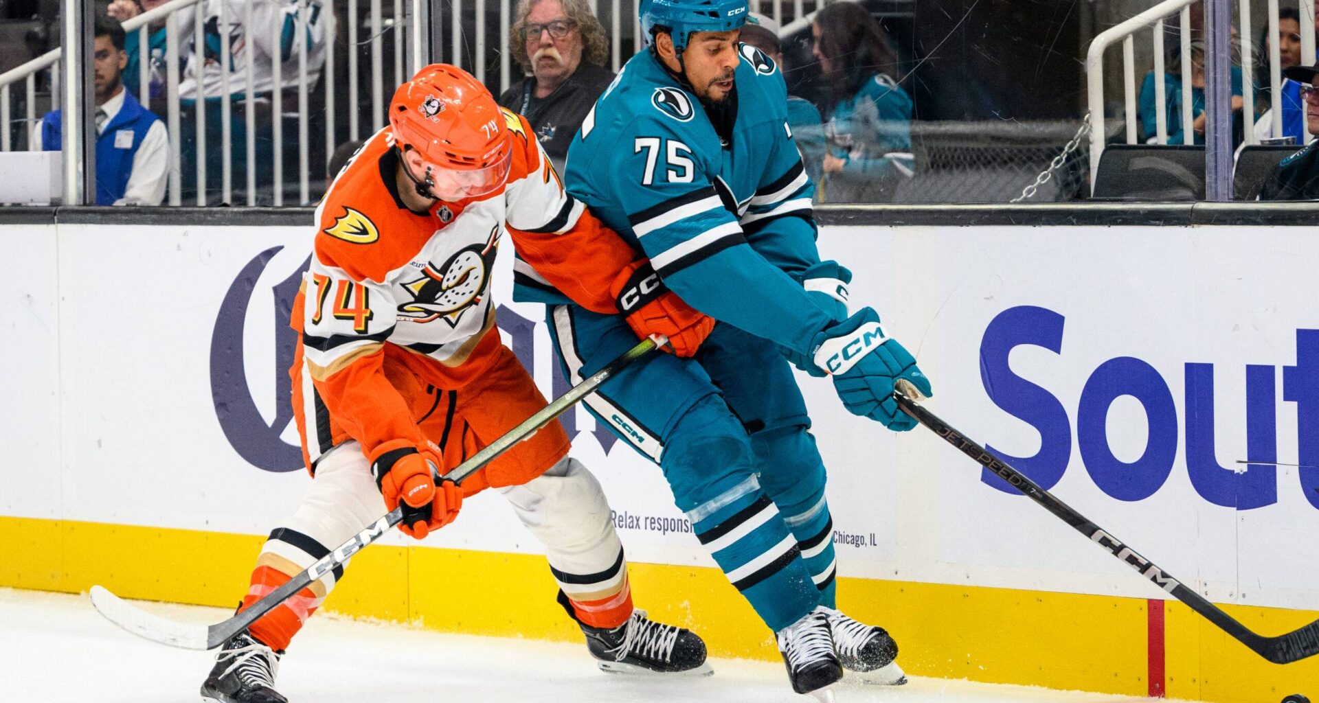 San Jose Sharks forward Ryan Reaves