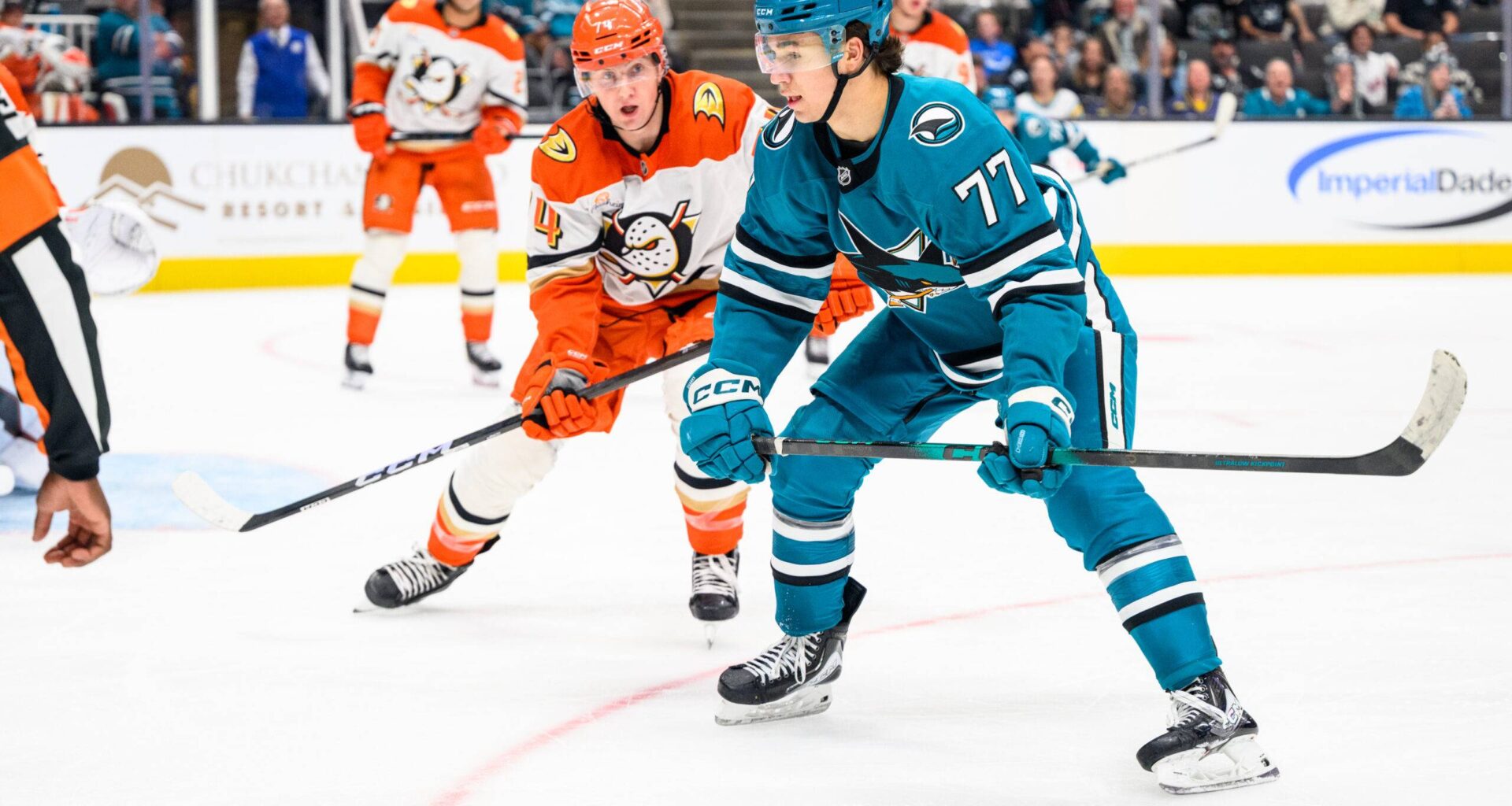 San Jose Sharks forward Michael Misa