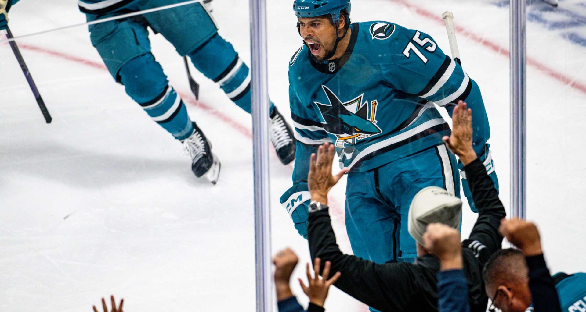 San Jose Sharks forward Ryan Reaves