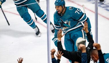 San Jose Sharks forward Ryan Reaves