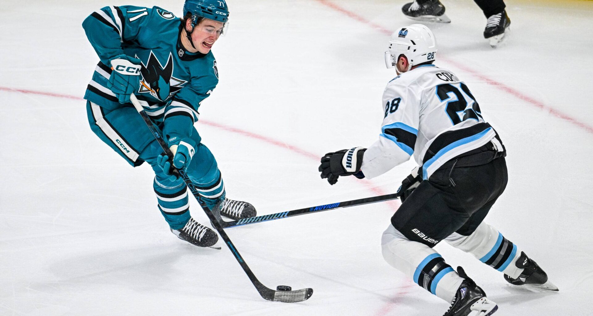 San Jose Sharks center Macklin Celebrini