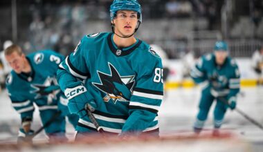 San Jose Sharks defenseman Shakir Mukhamadullin