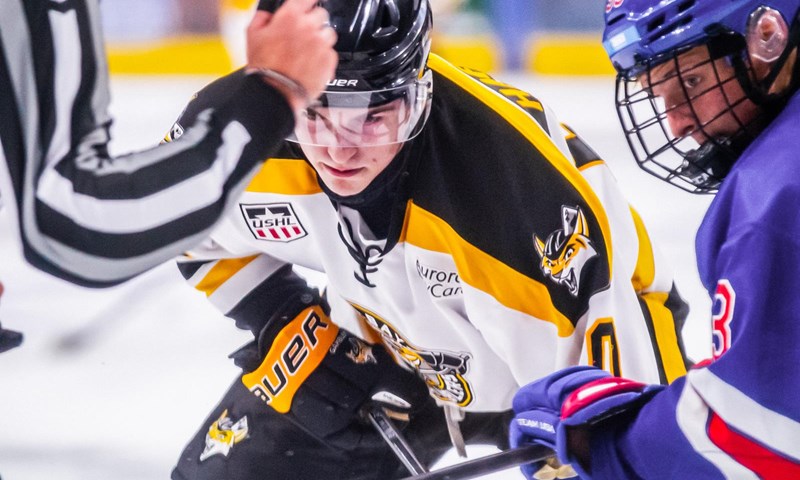 Hafele Betting on Himself in Pivotal Year with Gamblers